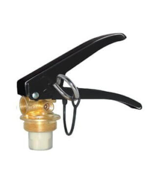 VALVULA BRONCE M30 R.G 10, 15, 20 LBS 4 HILOS