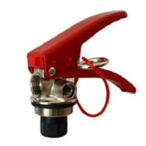 VALVULA CROMADA M30 R.G 5 LBS GSN (SIN SOPORTE)